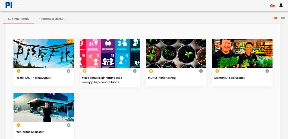 Pisiffik: Mentor Training for Young Employees